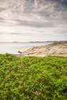 Sweden-Bohuslan-Salto Island-rocky cove seascape Art Print